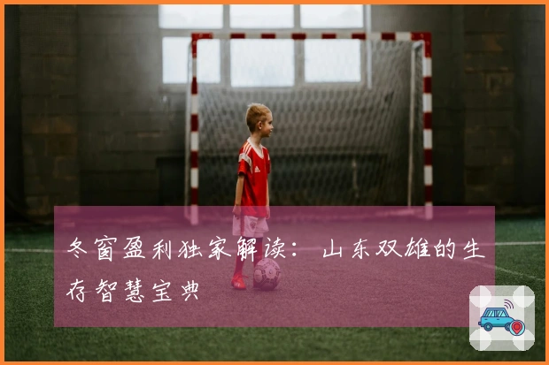 冬窗盈利独家解读：山东双雄的生存智慧宝典