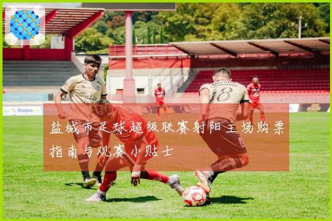 盐城市足球超级联赛射阳主场购票指南与观赛小贴士