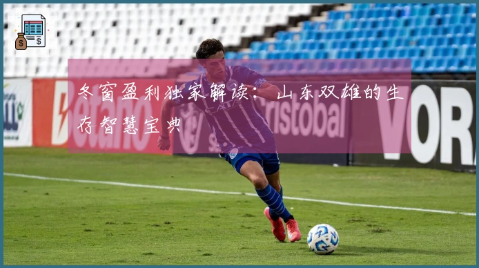 冬窗盈利独家解读：山东双雄的生存智慧宝典